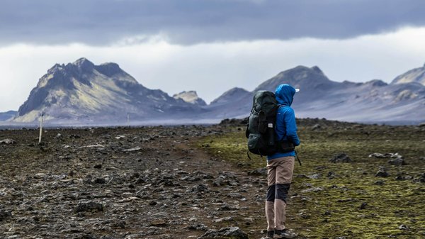 Voyage gustatif sur la côte d'azur : explorez les repas étoilés et les ateliers de cuisine raffinés